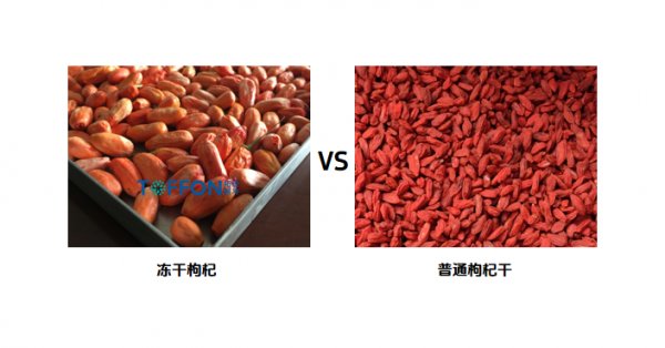 凍干寧夏枸杞，保留營養和鮮紅